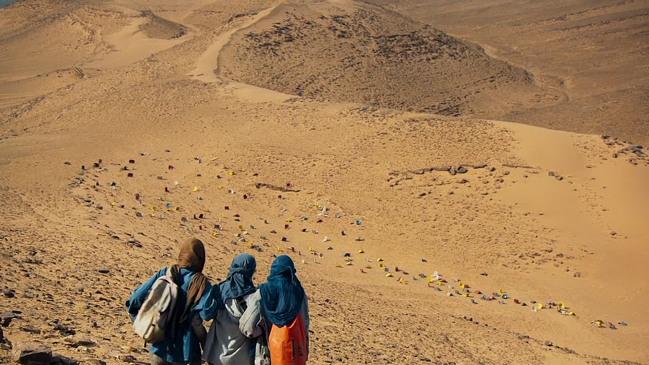 Survivre 2024 FRENCH 720P WEBRIP x264