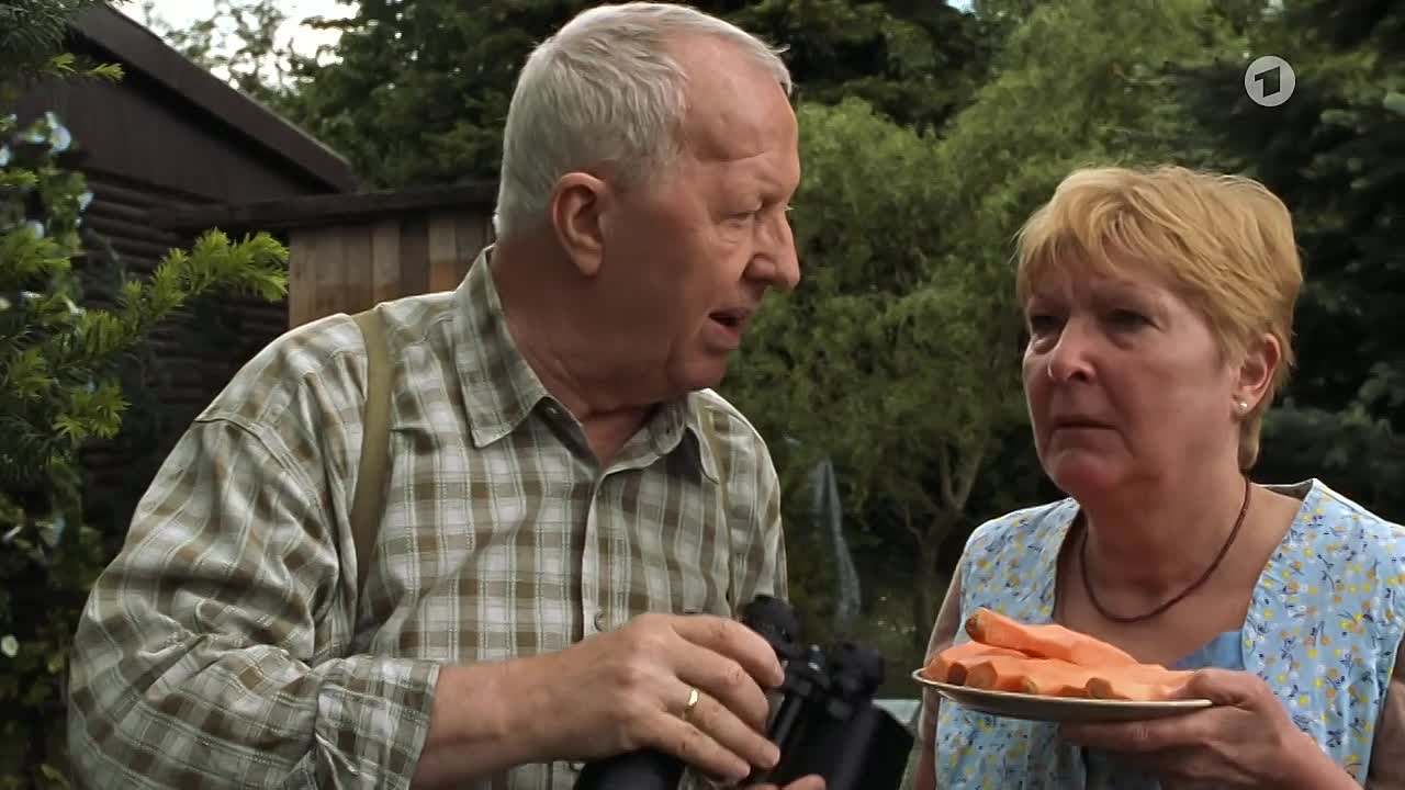 Wieder im Amt – Der Job seines Lebens 2 2004 GERMAN 720p WEBRip x264