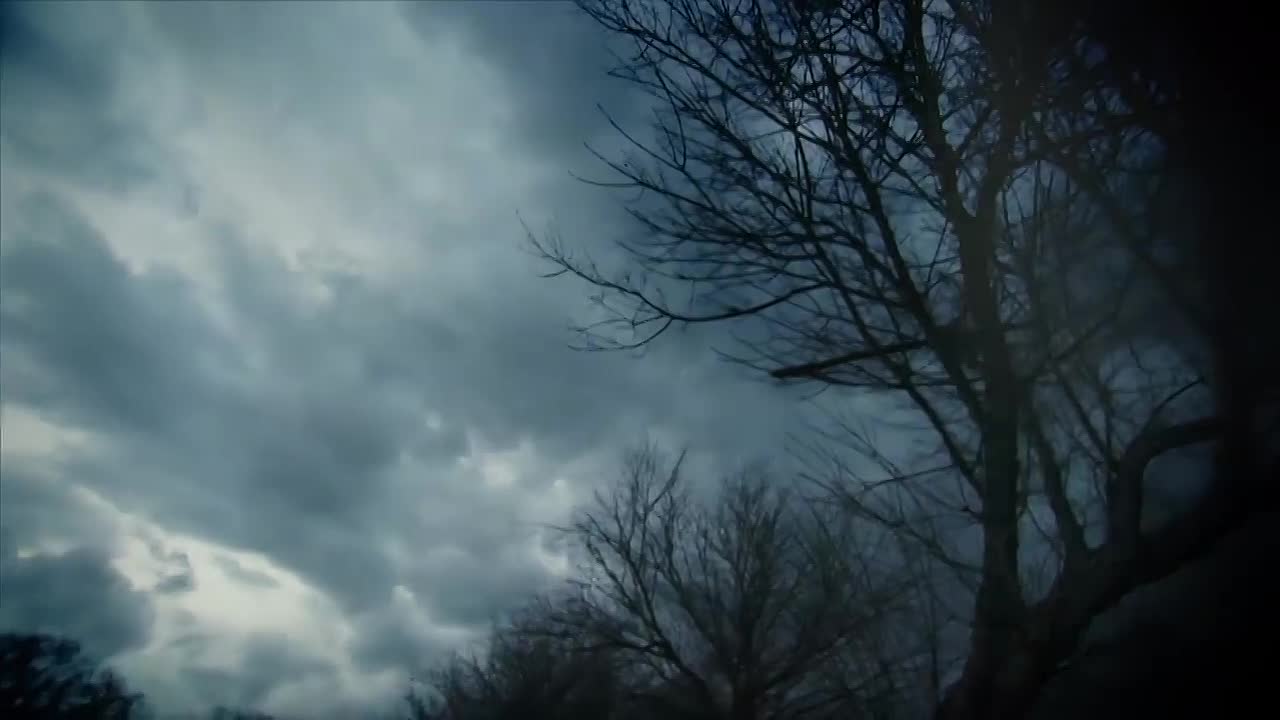 ⁣The Crimes of Lesley Warren -Handsome Devils