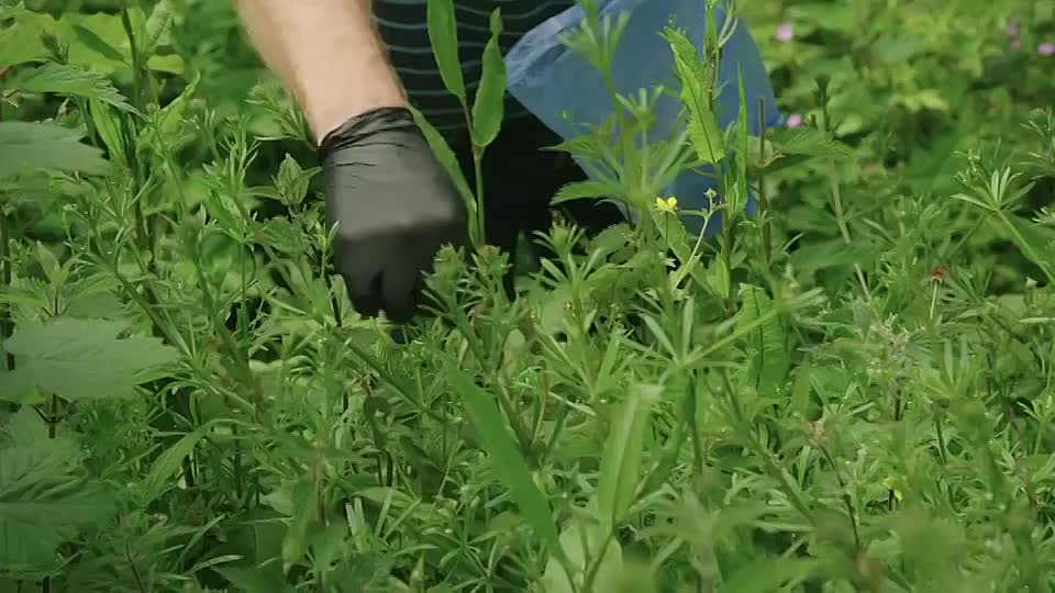 Come Dine With Me S2025E12