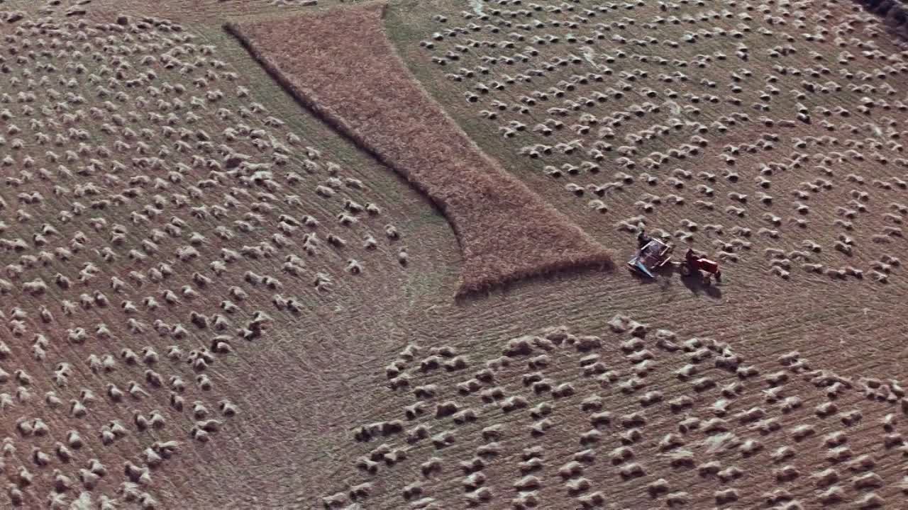 ⁣Le Voyage en Ballon 1960 FRENCH 1080p BluRay x264 AAC-