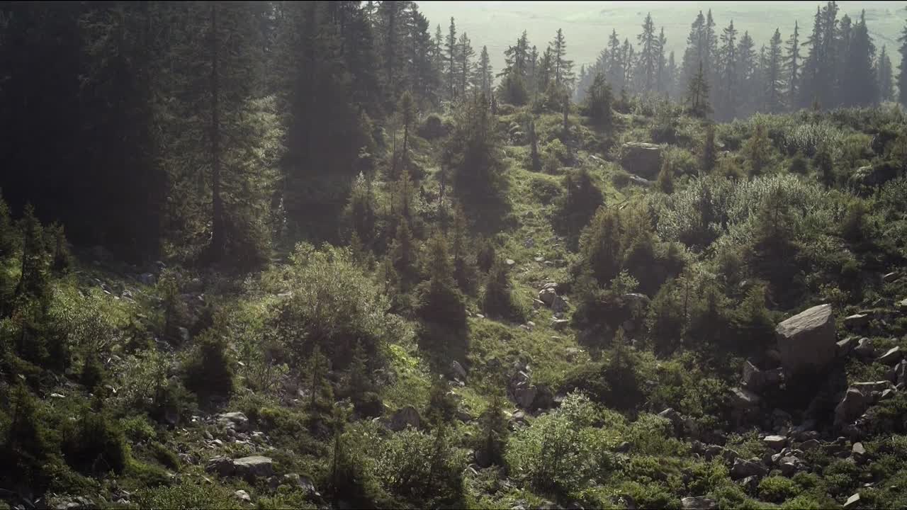 Schwarzer Panther 2014 German 1080p WebHD x264-SLG