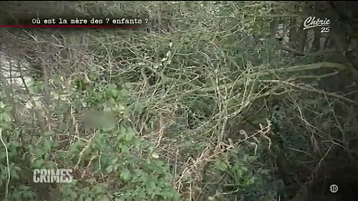 CRIMES -L'affaire Adeline Piet / Les amants meurtriers