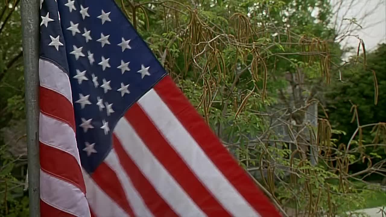 The Enemy Within (1994)