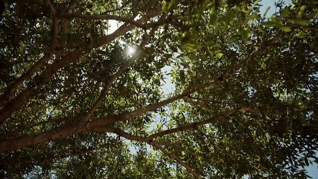 Murder Under the Friday Night Lights S04E06