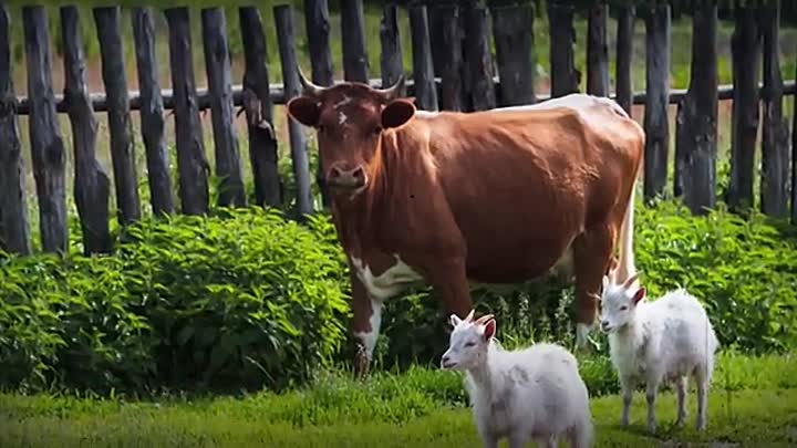 25 Cheap Medieval Lunches You Wish You Knew Sooner