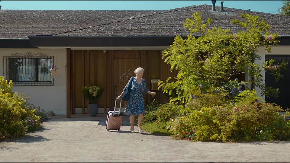 Die Goldenen Jahre 2022 GERMAN 720p WEB H264-JFF