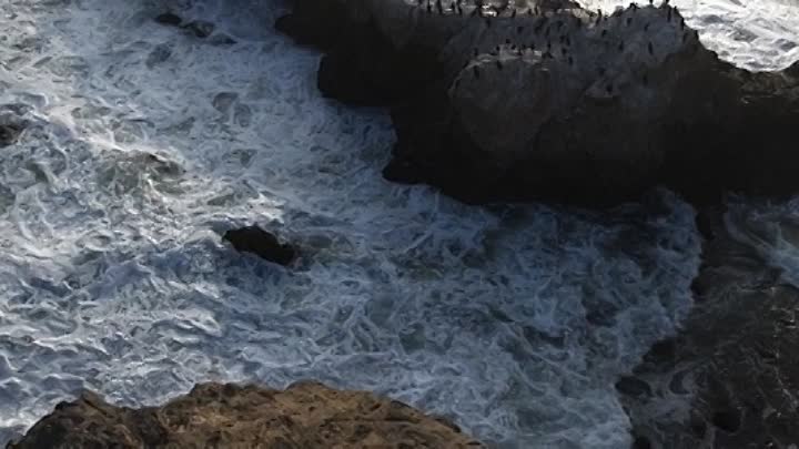 Max and Me 2020 HDRip XviD AC3-EVO