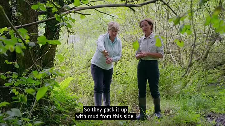 Tales from the Riverbank S01E05