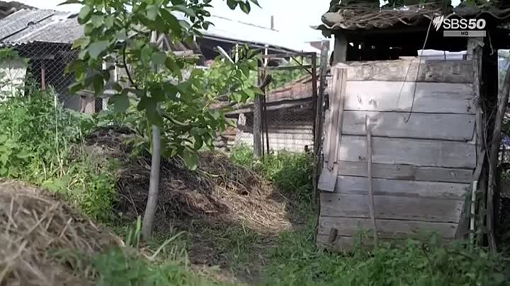 ⁣Dateline AU -Georgia's Stolen Children