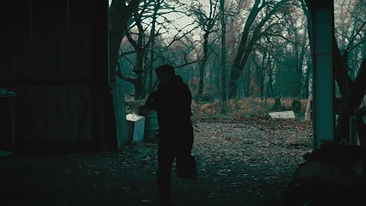 The Insurrection 2020 HDRip XviD AC3-EVO