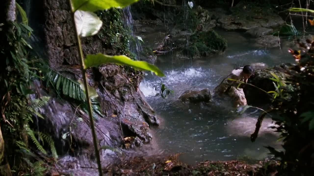 Treasure Island 1990