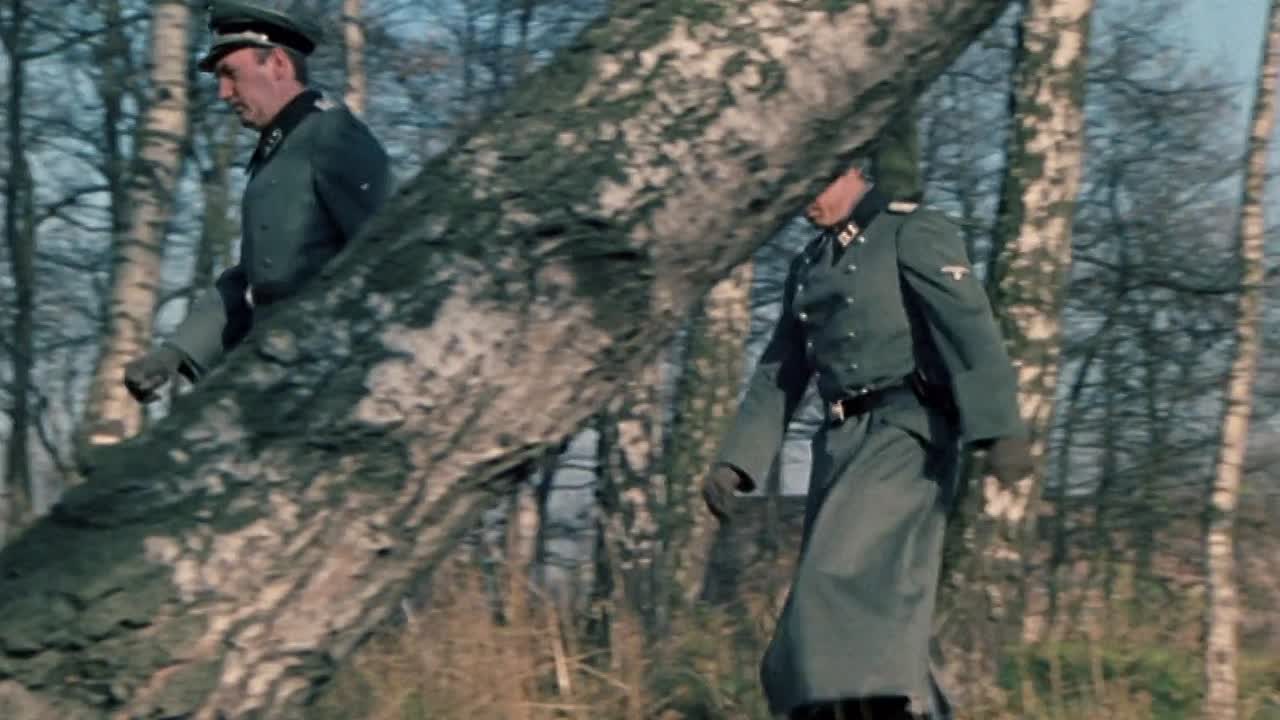 Aus Einem Deutschen Leben 1977 GERMAN 1080p BluRay x264 AAC-