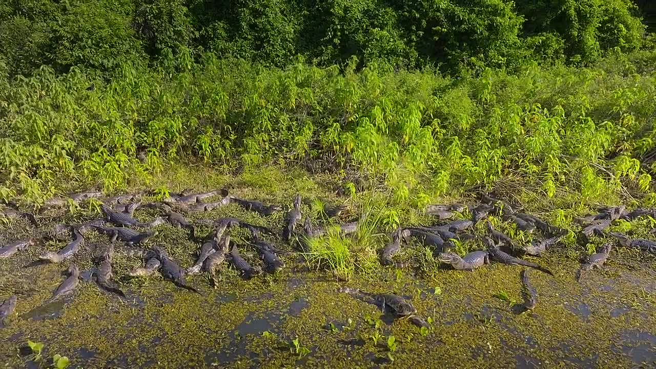 The Americas S01E04 -The Amazon