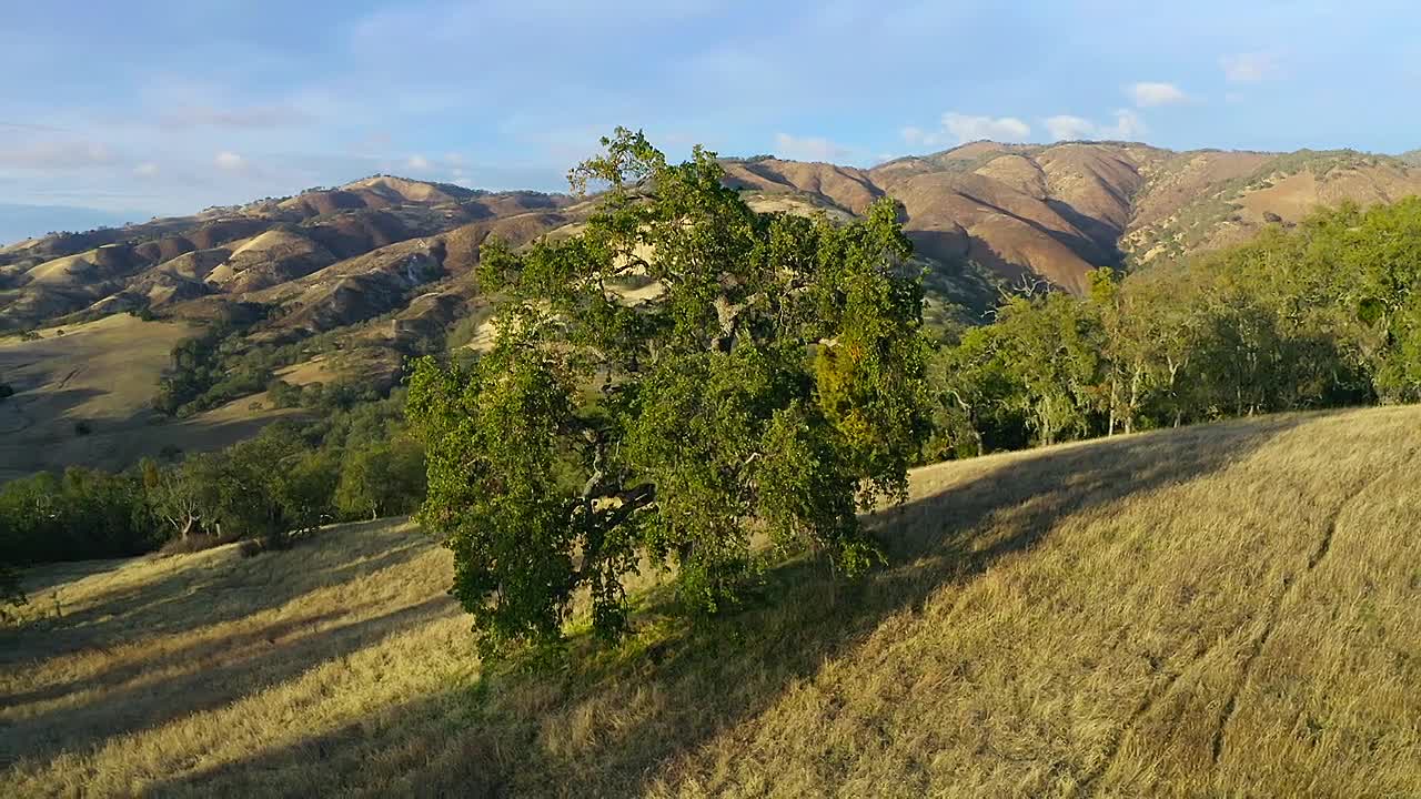 The Americas S01E03 -The Wild West