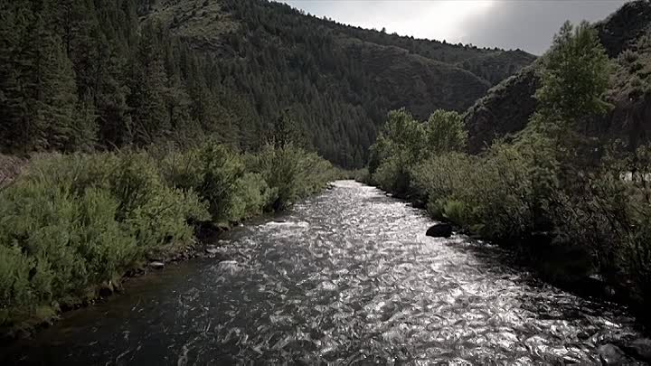 Fatal Family Feuds S02E03