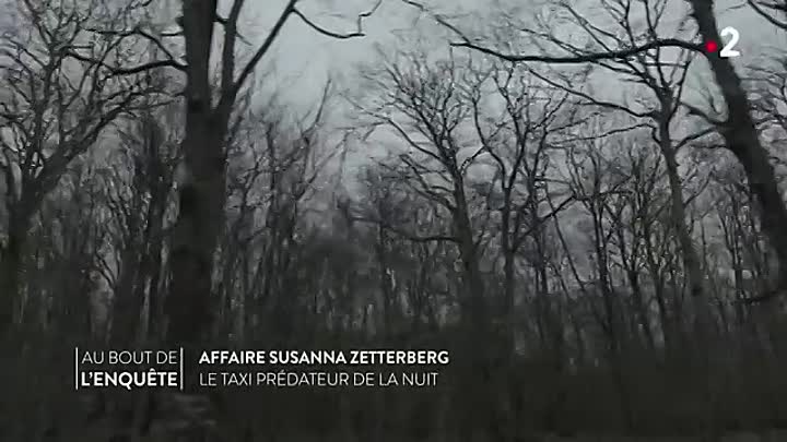 Affaire Susanna Zetterberg  -Au bout de l'enquête
