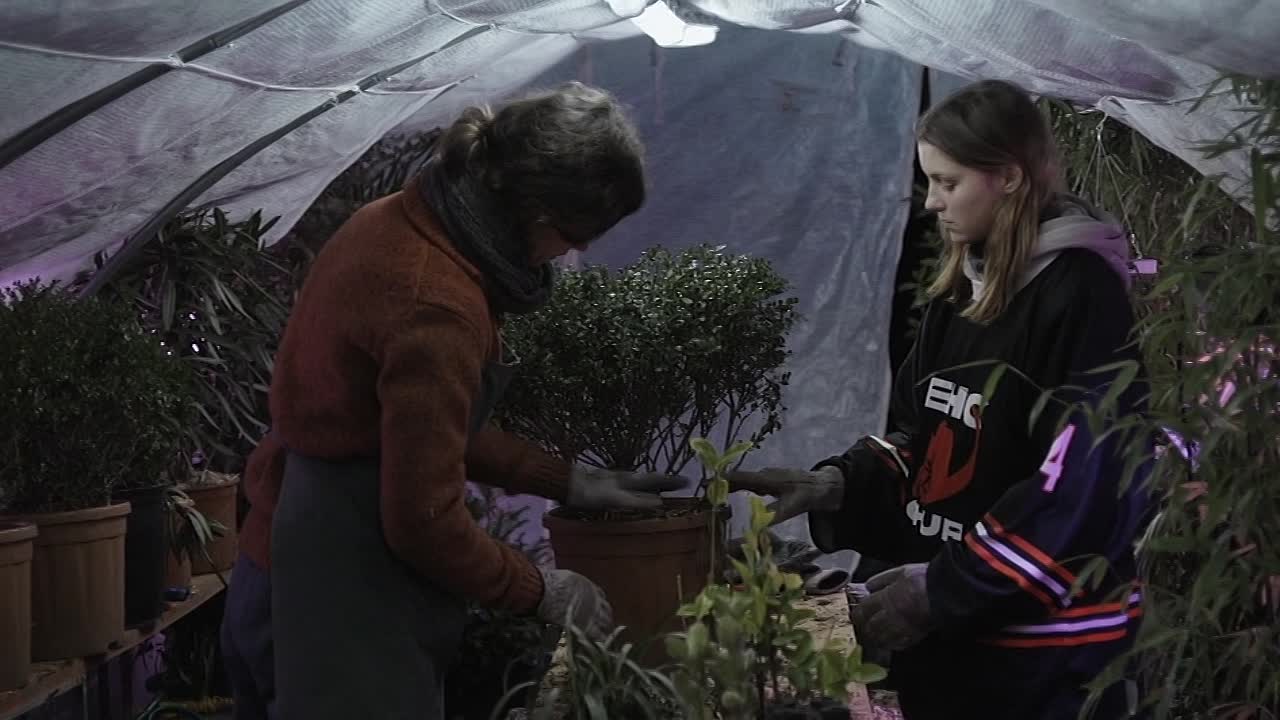 ⁣Riviere 2024 French 720P WEBRIP x264-Wawacity tools