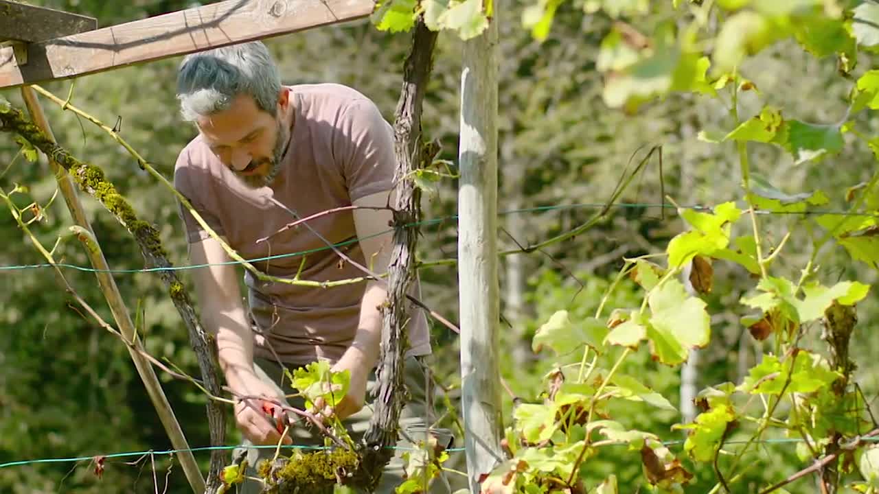 ⁣Le Syndrome de l Ete sans Fin 2023 FRENCH 1080p WEBRip x264 AAC5 1-