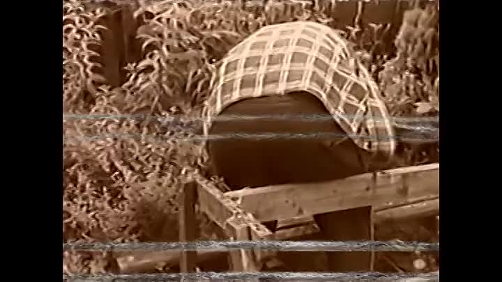 The Undercover Police Scandal Love And Lies Exposed S01E01