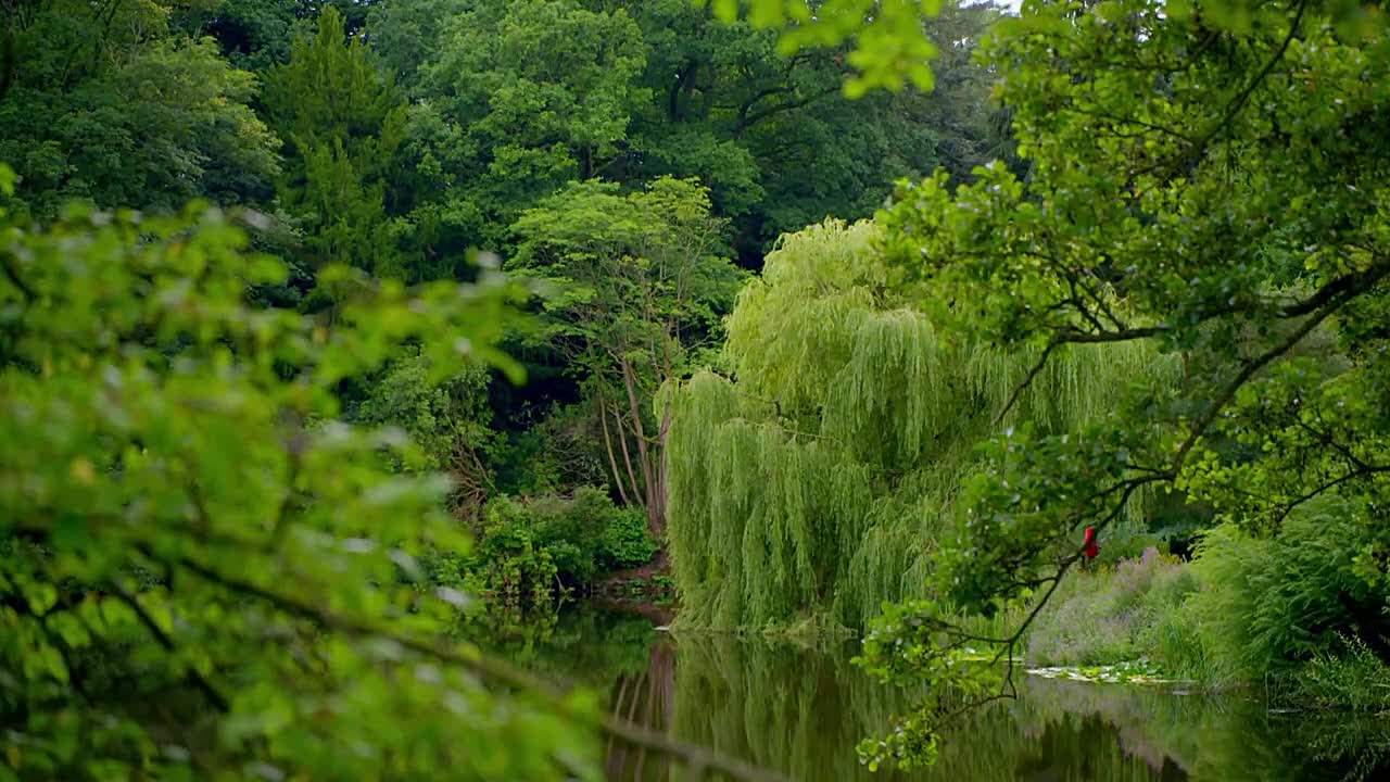 Tales from the Riverbank S01E04