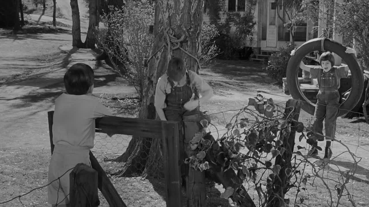 ⁣To Kill A Mockingbird 1962 1080p BluRay x264-[YTS AM]