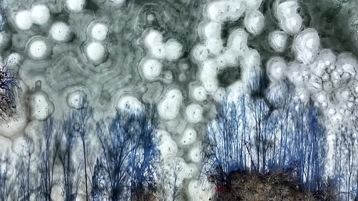 20/20 -The Code Breakers