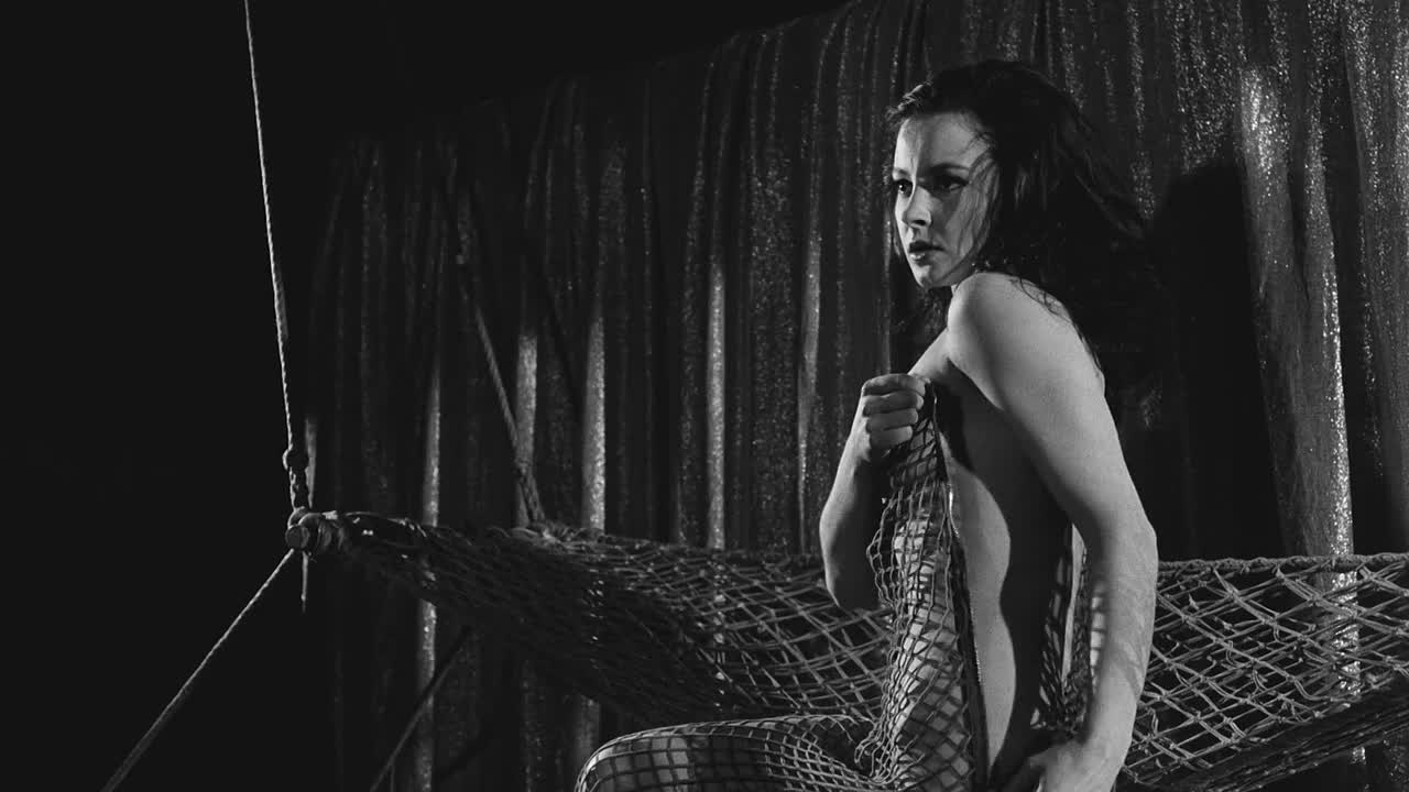 ⁣Strip-Tease 1963 FRENCH BLURAY 1080p BluRay x264 AAC-