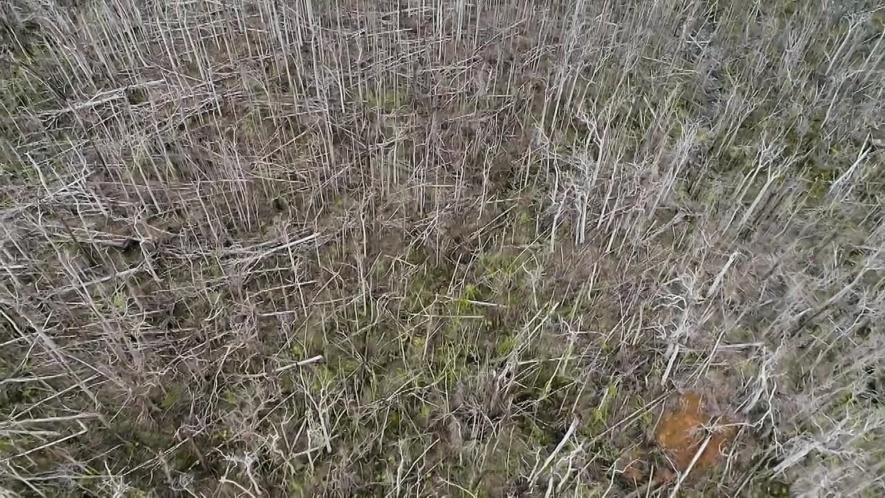 The Americas S01E08 -The Caribbean