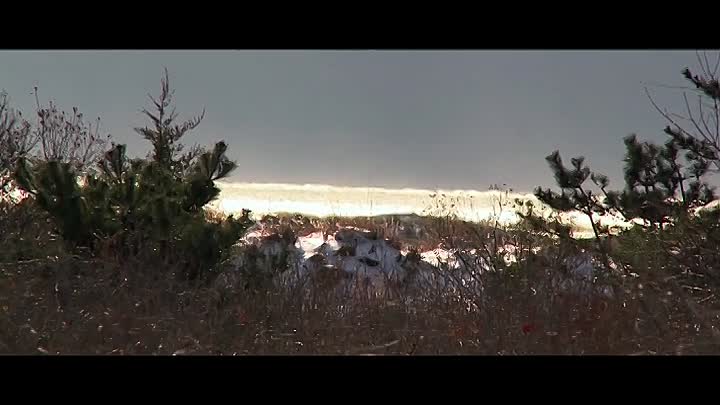 Gone Girls The Long Island Serial Killer S01E01