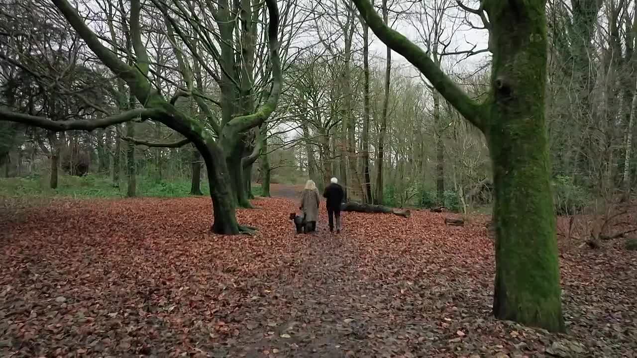 Panorama -My Online Stalker