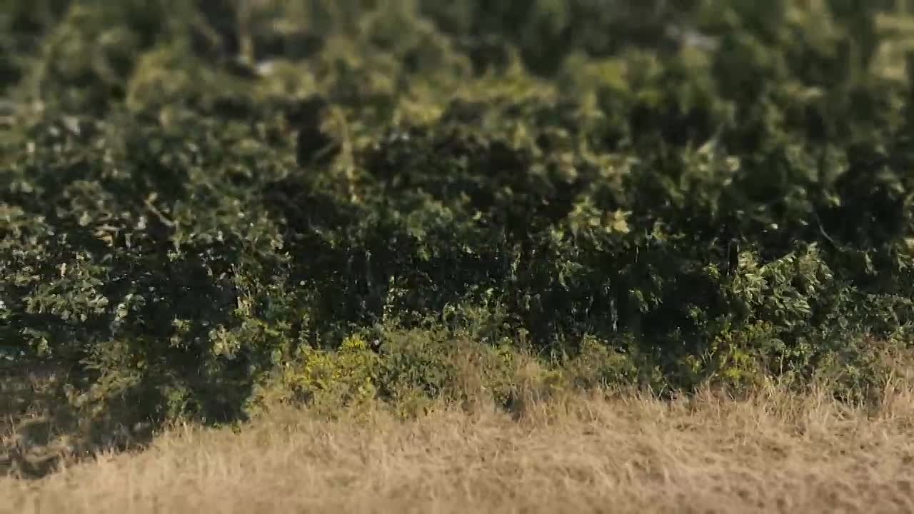 Bibaa and Nicole -Murder In The Park S01E01