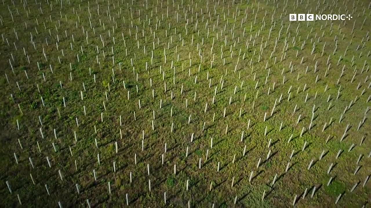 ⁣The Future of Nature S01E04 -Humans