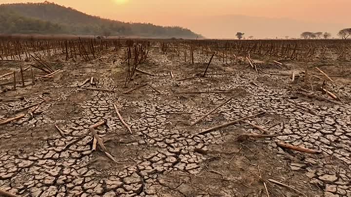 Science Fiction In The Atomic Age S01E03 -Margaret Atwood To Ted Chiang