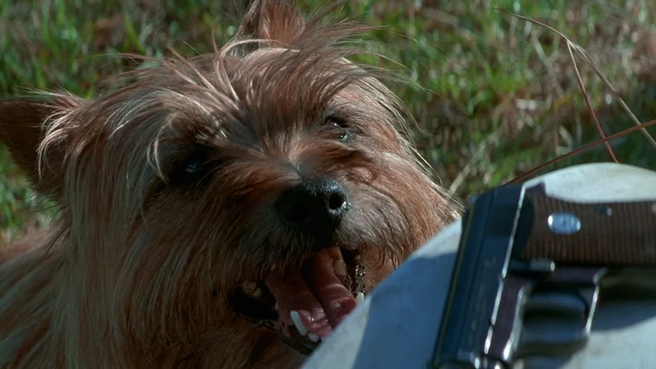 2 Days In The Valley 1996 1080p BluRay x264 AAC5 1-