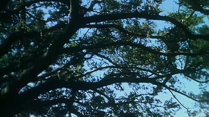 White Phantom 1987 480p DVDRip x264 AAC-