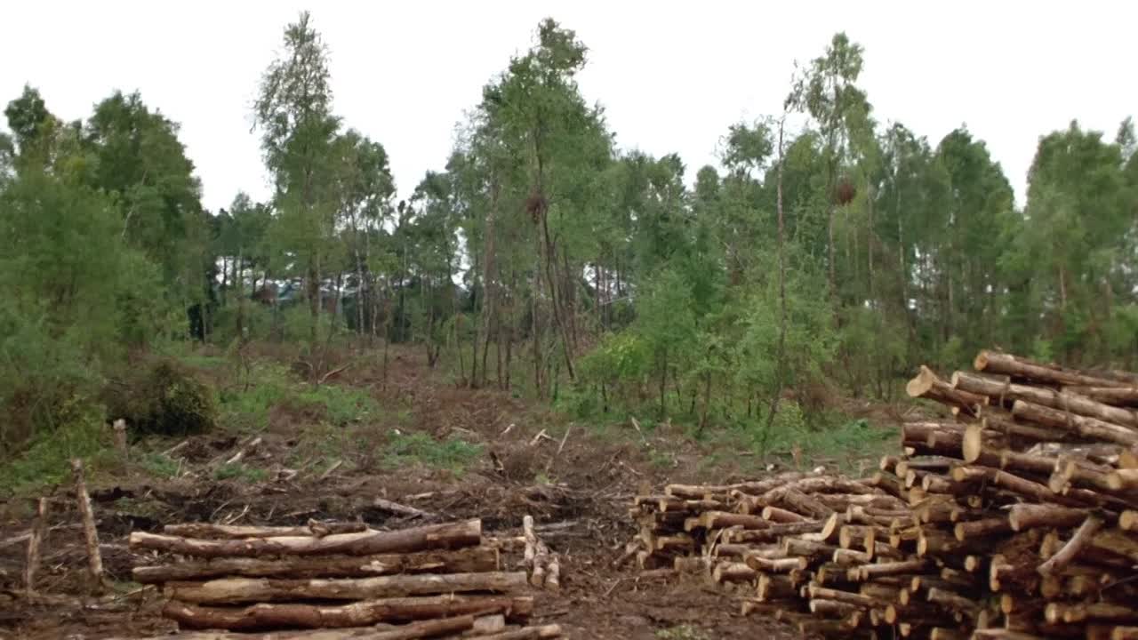 I Went Down 1997 1080p WEBRip x264 AAC-