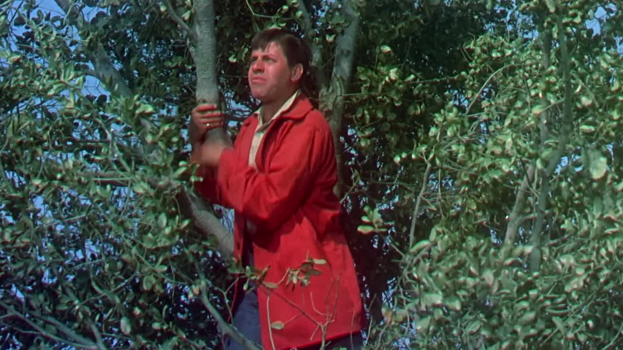 Hollywood Or Bust 1956 1080p BluRay x264 AAC-