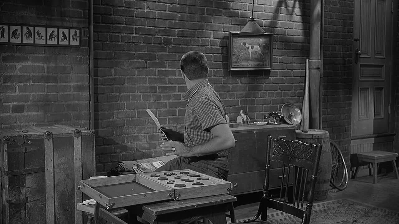 The Delicate Delinquent 1957 1080p WEBRip x264 AAC-