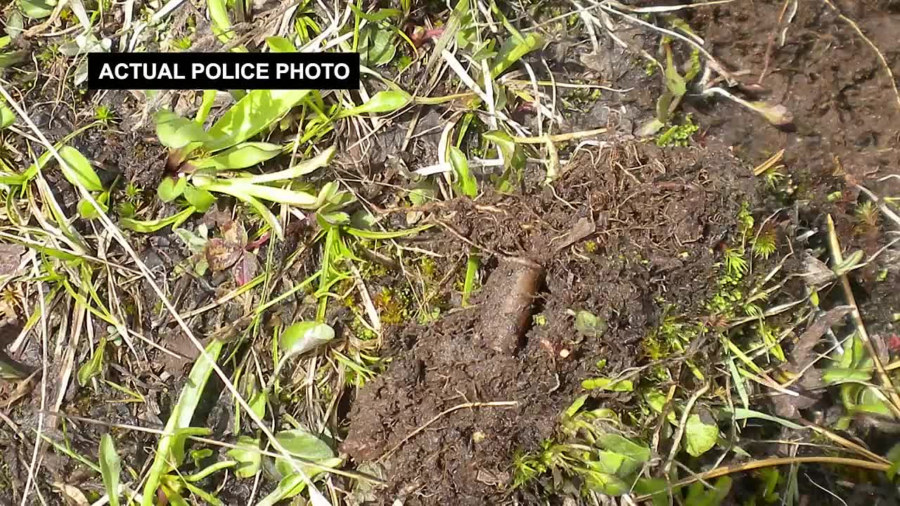 Fatal Family Feuds S02E08 -Custody By Blood