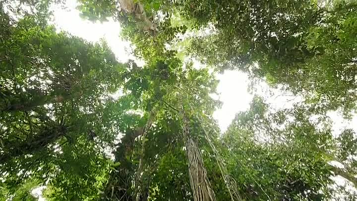 Hotspots The Last Hope S01E01 -Borneo