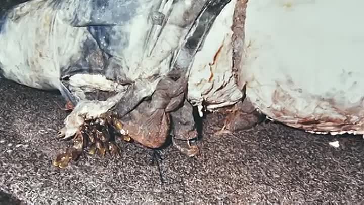 Britain's Unidentified Bodies -Cold Case Investigations