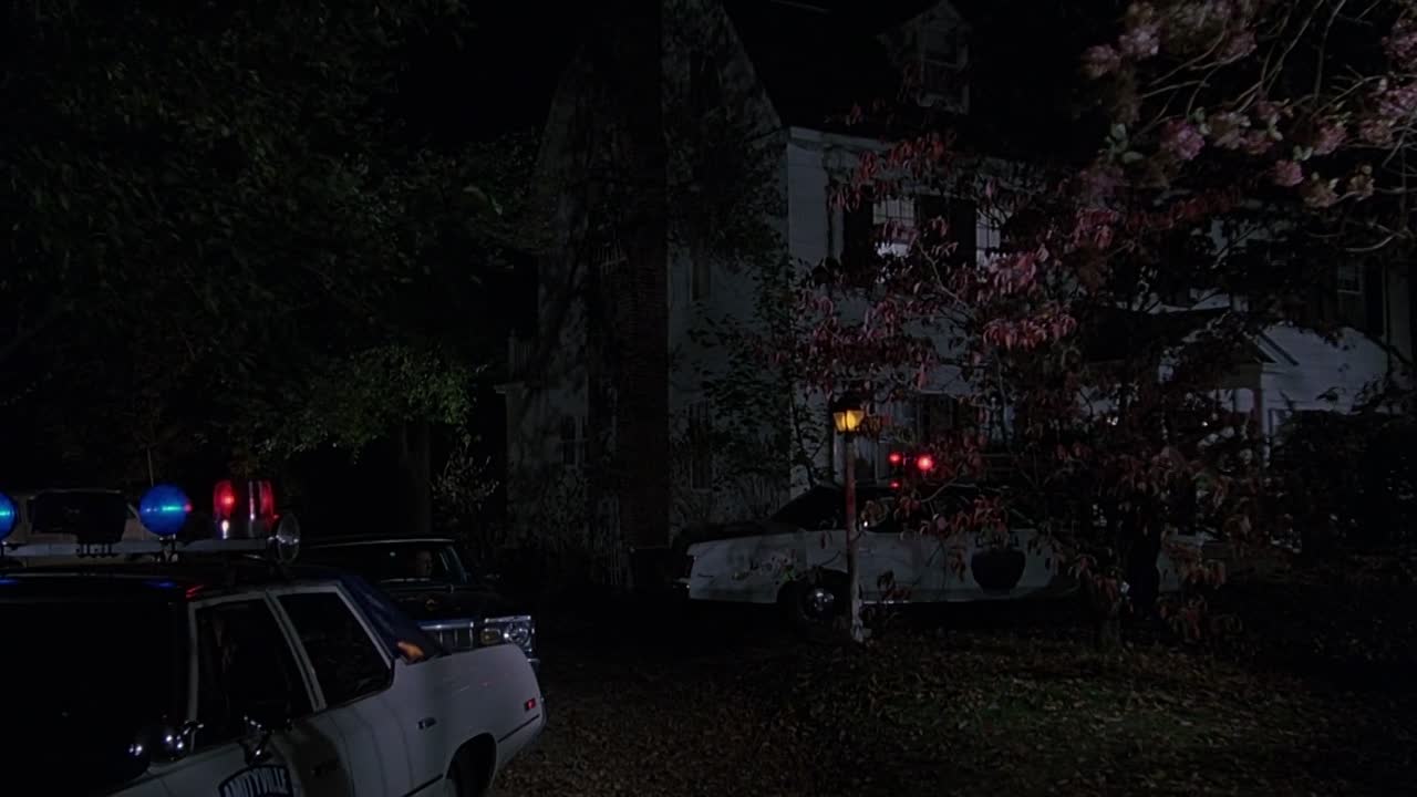 The Amityville Horror 1979 1080p BluRay x264-[YTS AG]