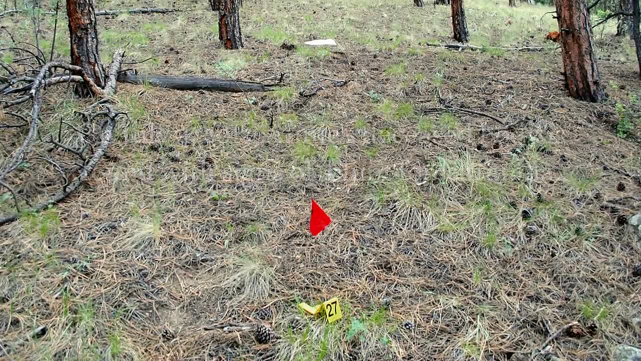 ⁣Signs of a Psychopath S09E10