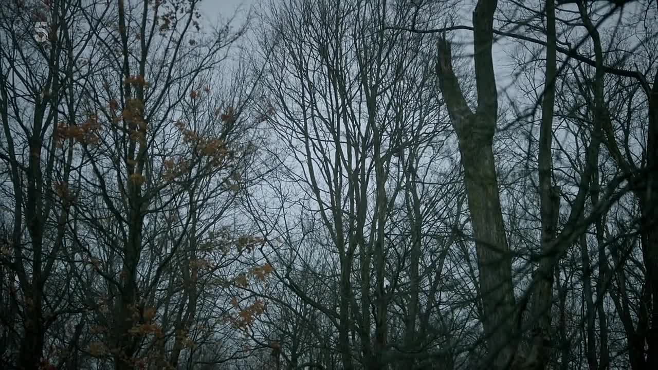 The Basement -A Vanishing In Apple Valley S01E01