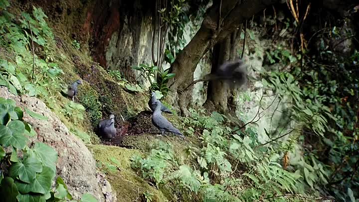 Hotspots The Last Hope S01E04 -Mediterranean