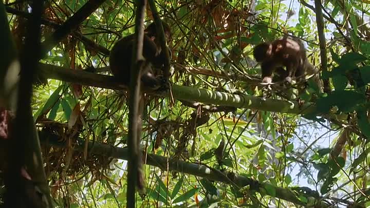 Hotspots The Last Hope S01E05 -Madagascar