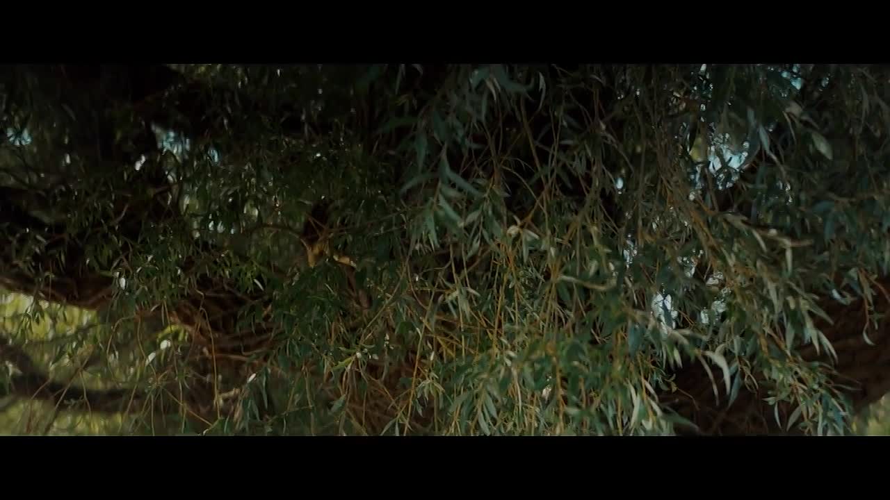 Get Hooked S01E01 -Algonquin Park