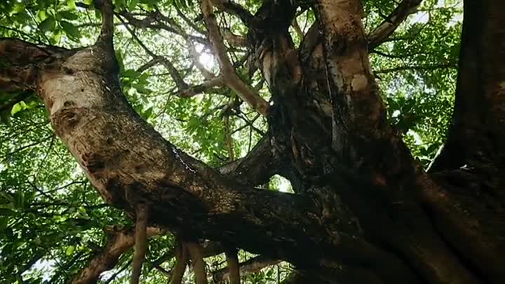 Hotspots The Last Hope S01E03 -Central America