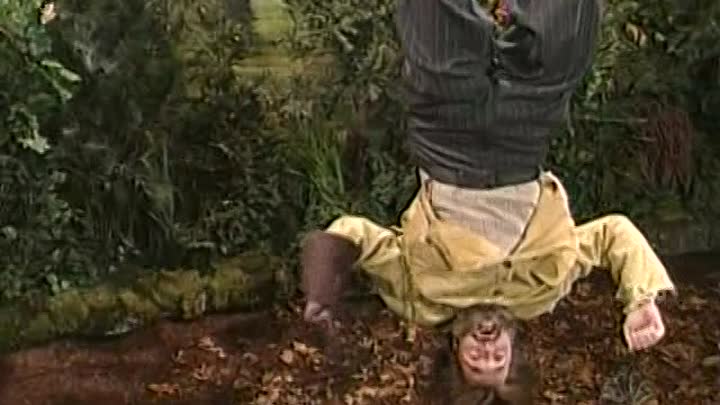 ⁣Saturday Night Live - S29E06 - Alec Baldwin, Missy Elliott